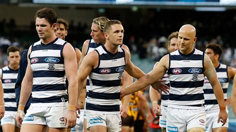 geelong cats odds|Team Selection .